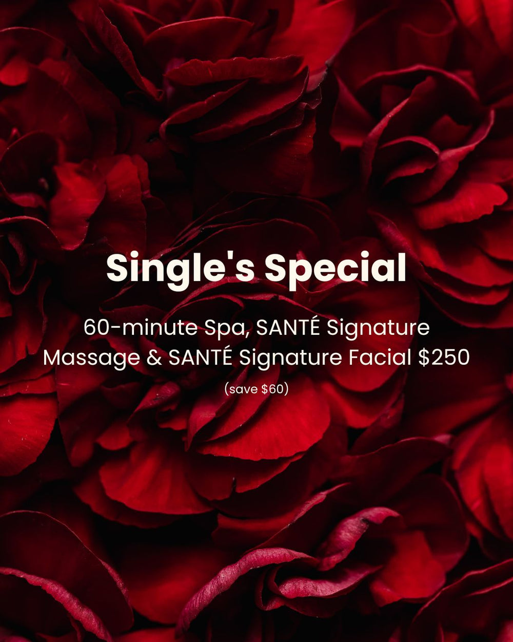 Single's Special: 60-minute Spa, Massage + Facial