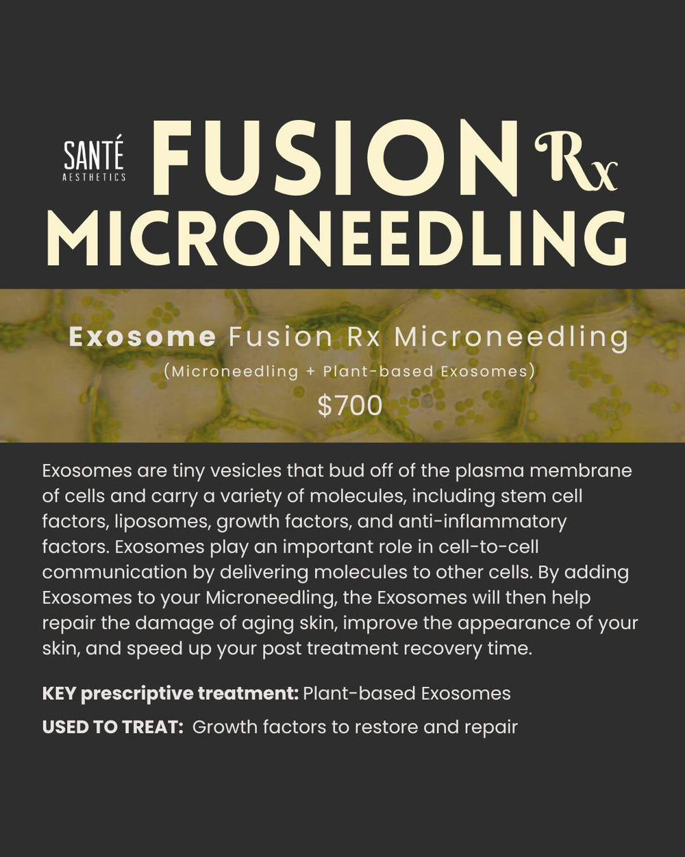 Exosome Fusion Rx (Fusion Tip Microneedling + Plant-based Exosomes)
